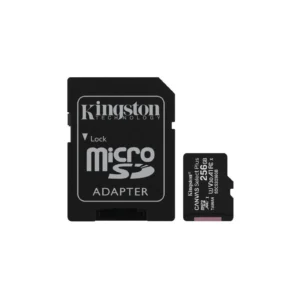 256GB Micro Size SD Card
