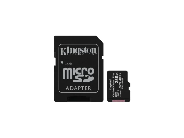 256GB Micro Size SD Card